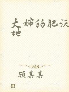 大婶的肥沃的土地