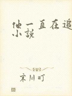 他一直在追初恋小说