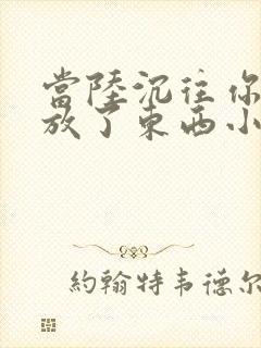 当陆沉往你里面放了东西小玩具