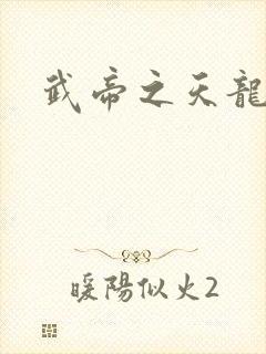 武帝之天龙八部