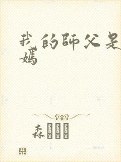 我的师父是王语嫣