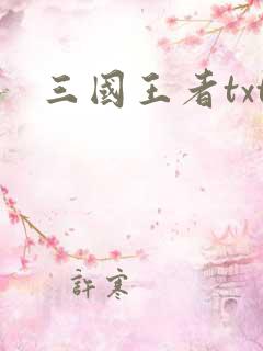 三国王者txt
