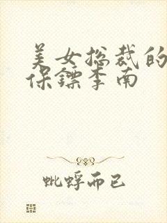 美女总裁的护花保镖李南