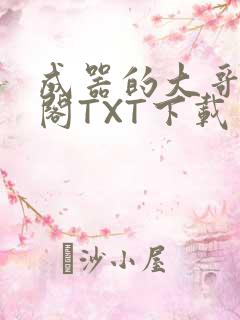 成器的大哥笔趣阁TXT下载