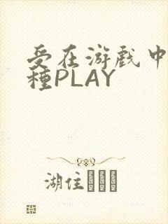 受在游戏中被各种PLAY