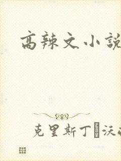 高辣文小说