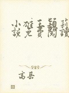 小雄王颖莉的小说免费阅读全文