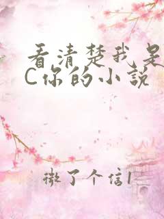 看清楚我是怎么C你的小说