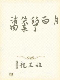 消失的白月光又回来了