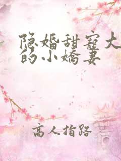 隐婚甜宠大财阀的小娇妻