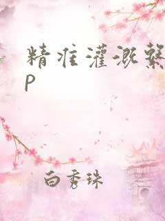 精准灌溉系统hp