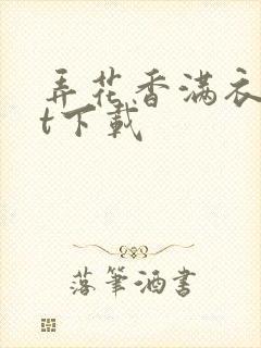弄花香满衣txt下载