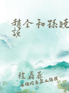 赵全和孙晓云小说