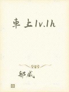 车上1v.1h