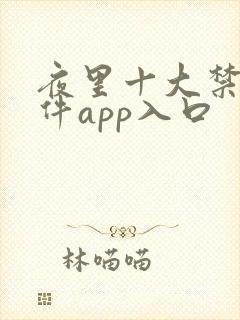 夜里十大禁用软件app入口