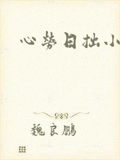心劳日拙小说