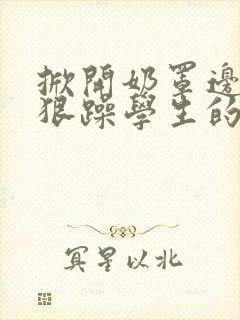 掀开奶罩边躁狠狠躁学生的小文字