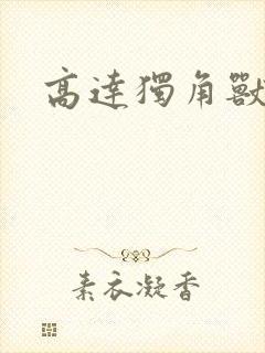 高达独角兽小说