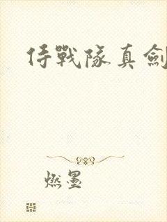 侍战队真剑者2