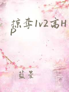掠夺1v2高HP