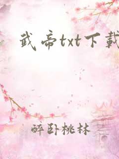 武帝txt下载