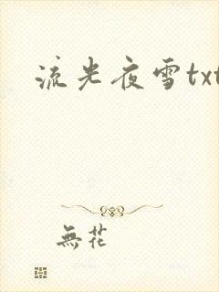 流光夜雪txt