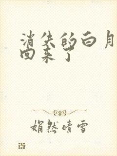 消失的白月光又回来了