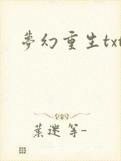 梦幻重生txt