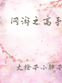 网游之高手寂寞