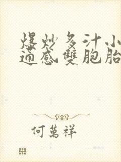 爆炒多汁小美人通感双胞胎