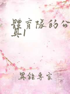 体育队的公用玩具1