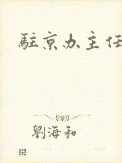 驻京办主任对手