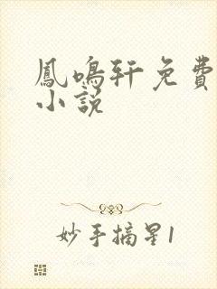 凤鸣轩免费言情小说