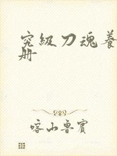 究级刀魂养成手册