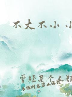 不大不小 小说