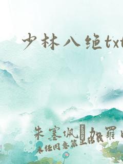 少林八绝txt