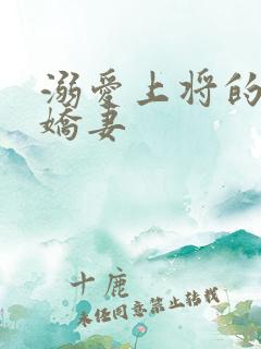 溺爱上将的宝贝娇妻