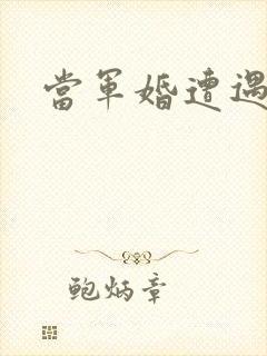 当军婚遭遇爱情