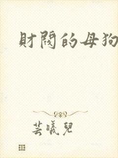 财阀的母狗们
