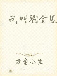 我叫刘金凤下架