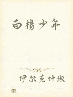 白杨少年
