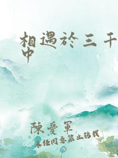 相遇于三千肉文中
