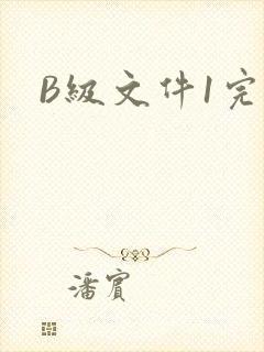 B级文件1完整