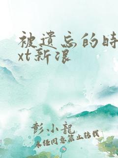 被遗忘的时光txt新浪