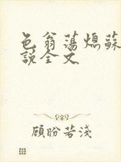 色翁荡熄苏钥小说全文