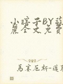 小瞎子BY苏玛丽全文免费笔趣阁