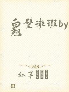 白璧微瑕by连翘
