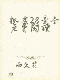 抓灰28章全部免费阅读