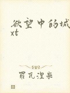 欲望中的城市txt