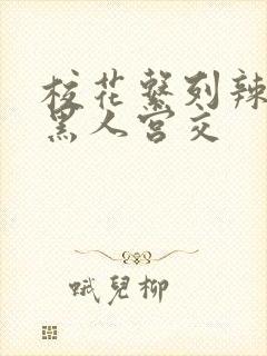 校花系列辣h文黑人宫交